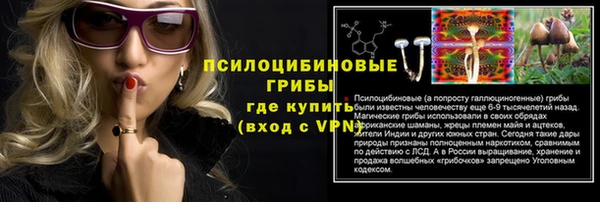 СК Верхний Тагил