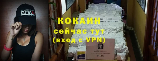 дживик Верея