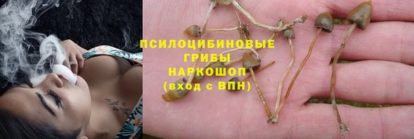 дживик Верея