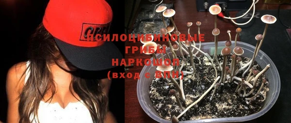 дживик Верея