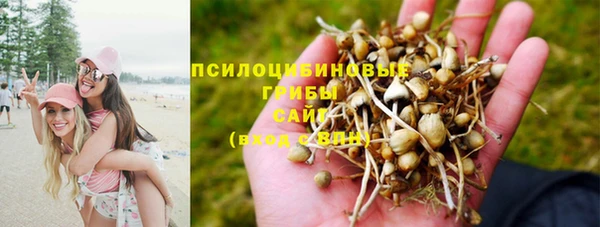 дживик Верея