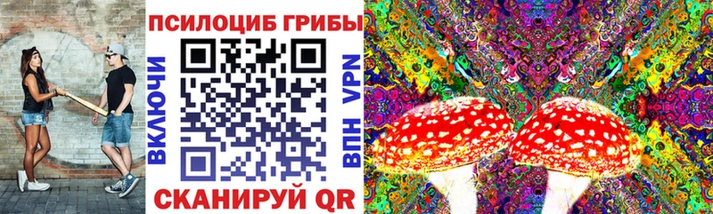 Галлюциногенные грибы Psilocybe  купить закладку  Майкоп 