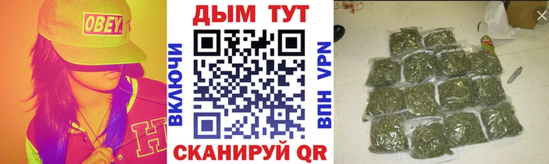 Бошки марихуана марихуана  Майкоп 